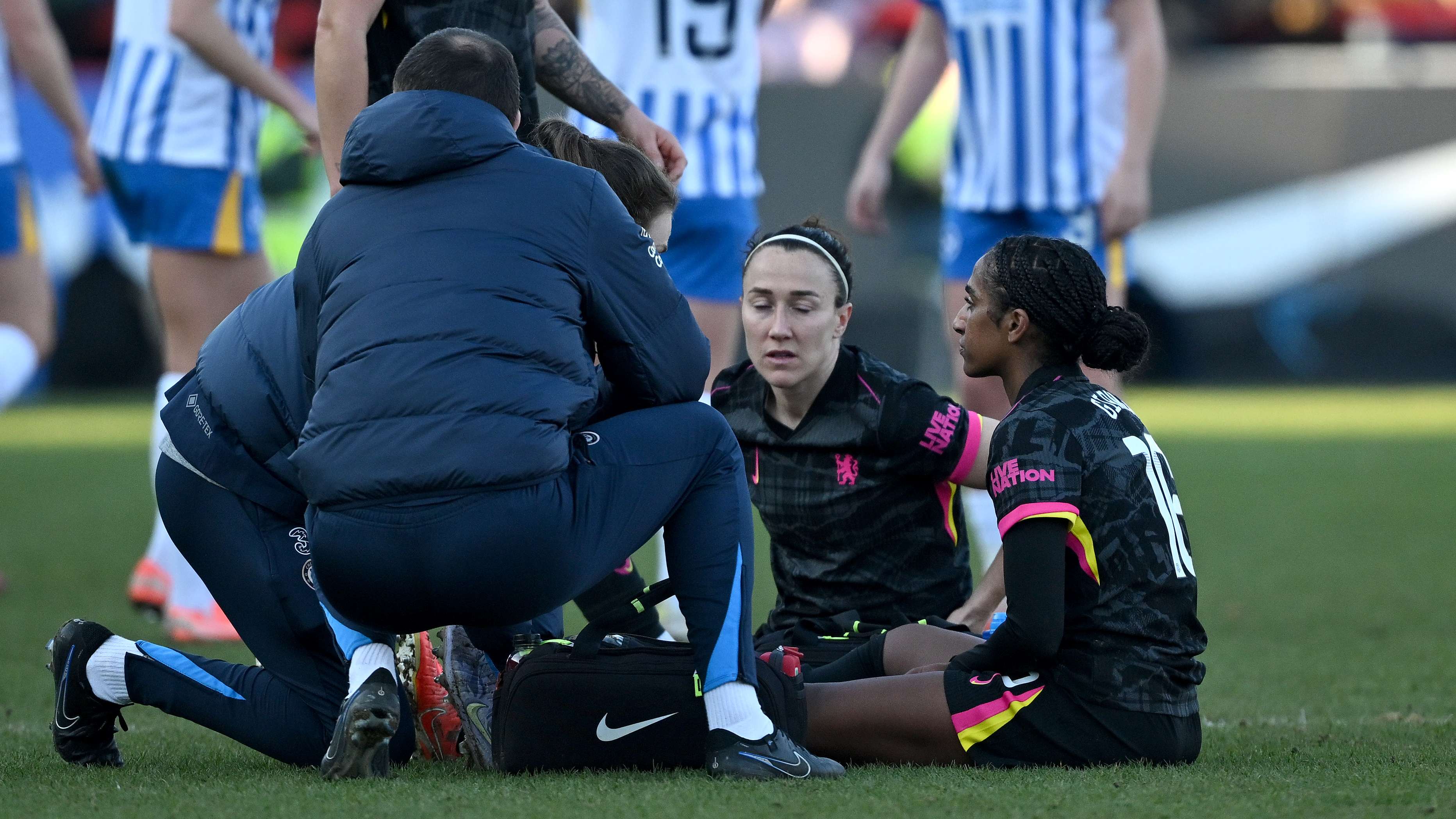 的坚定决心 的坚定决心