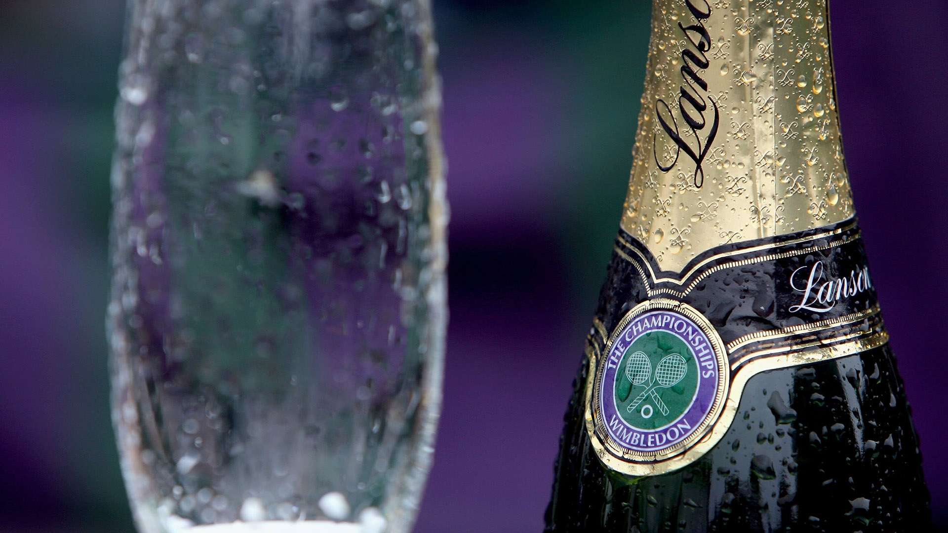 本场对阵无 本场对阵无